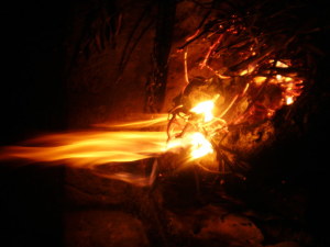 Foto Vlatka: ogenj