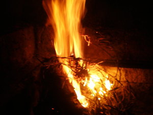 Foto Vlatka: ogenj