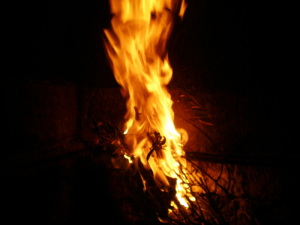 Foto Vlatka : ogenj